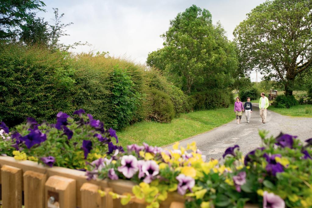 Burren Glamping Villa Kilfenora Ngoại thất bức ảnh