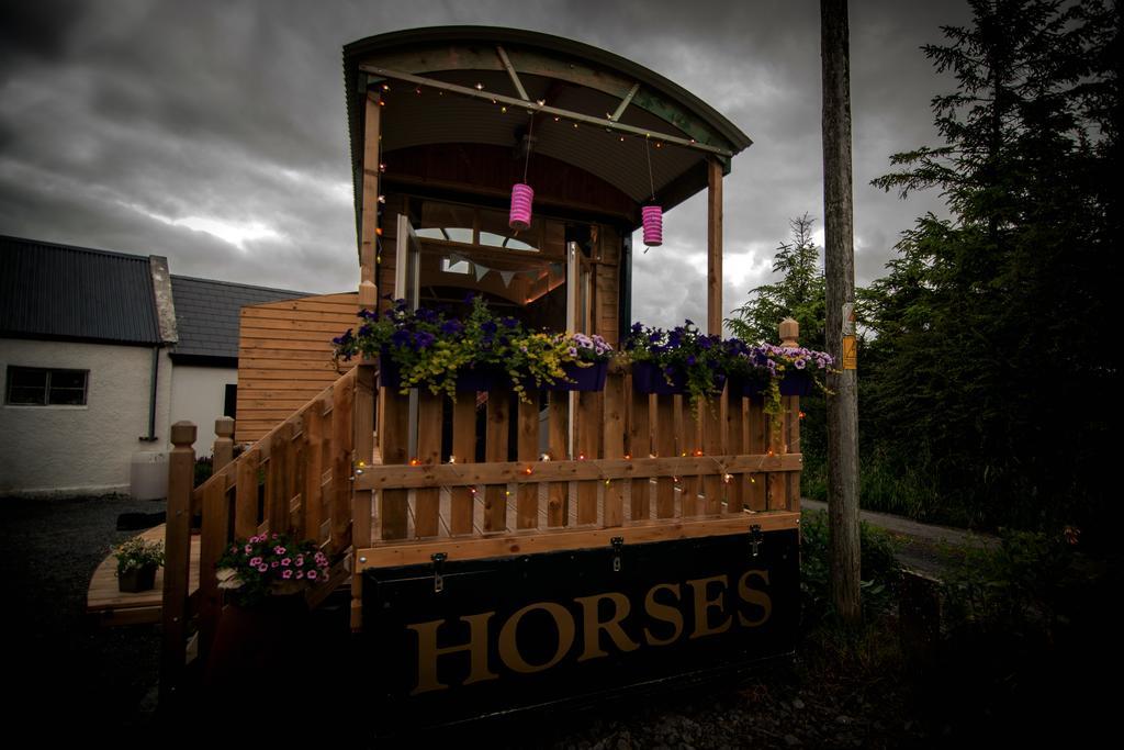 Burren Glamping Villa Kilfenora Ngoại thất bức ảnh
